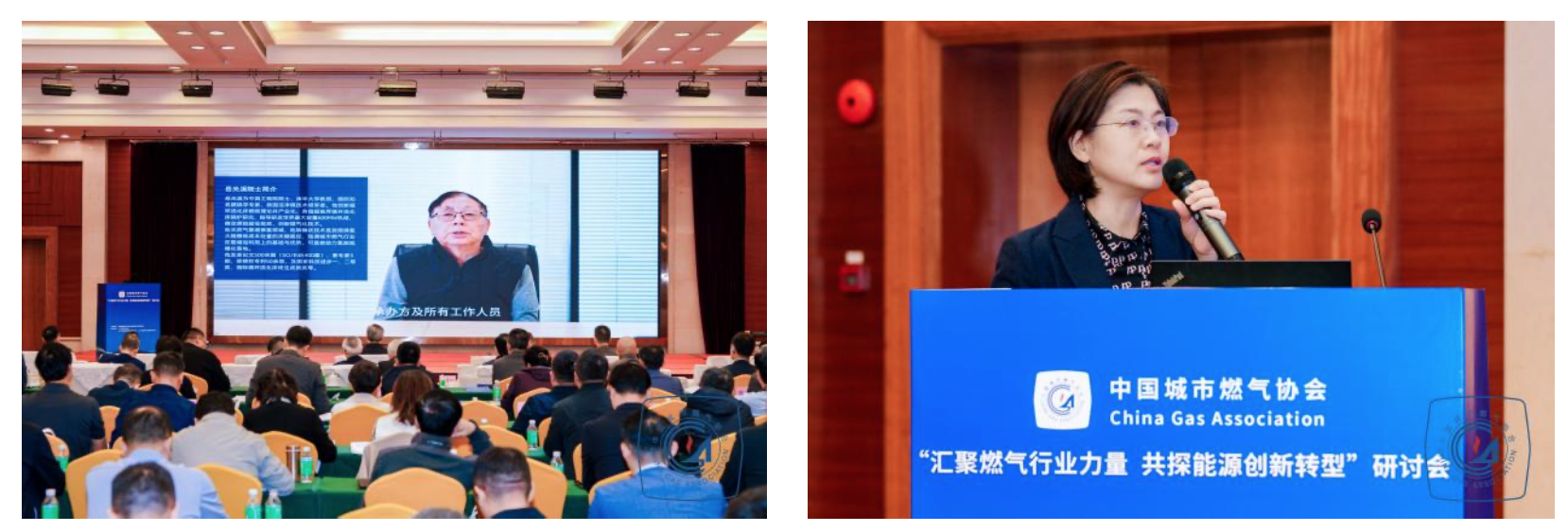 1765340665235955.png 1765340665235955.png